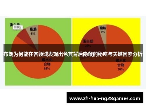 布朗为何能在各领域表现出色其背后隐藏的秘密与关键因素分析 布朗为何能在各领域表现出色其背后隐藏的秘密与关键因素分析