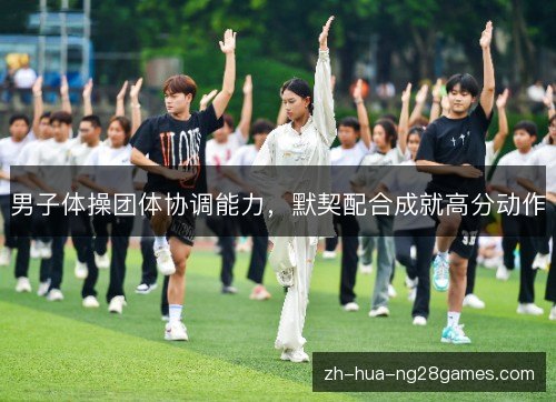 男子体操团体协调能力,默契配合成就高分动作 男子体操团体协调能力,默契配合成就高分动作